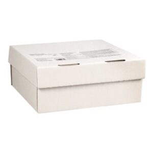 Cake, Cut Lemon Burst, Frozen