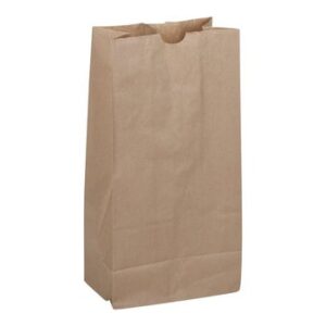 Bags, 20Lb Kraft Paper, 8 X 5 X 16In