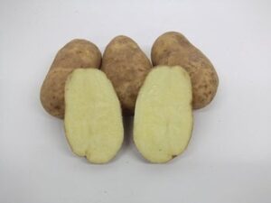 Potatoes, Washed Large Russet