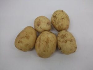 Potatoes, Large White Frying