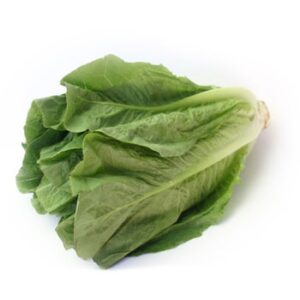 Lettuce, Premium Romaine