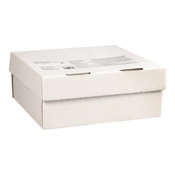 "Cake, Cut Lemon Burst, Frozen"